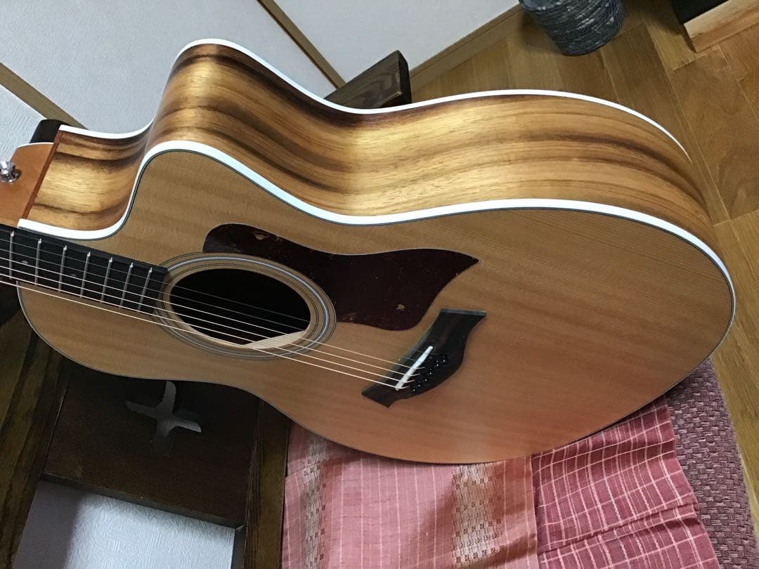 Taylor アコースティックギター ケース付き テイラー Taylor アコギ GS