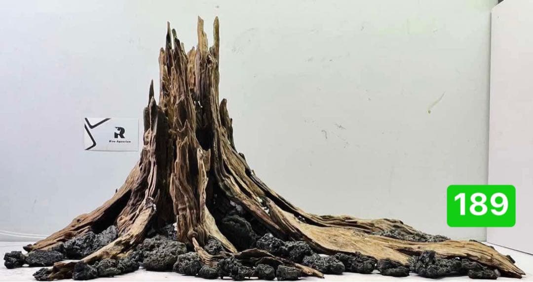 TTD 18945 【⭐︎ たっくる様⭐︎】【美品・数量限定】 2WAYレース襟付き配色サマーツイードワンピース