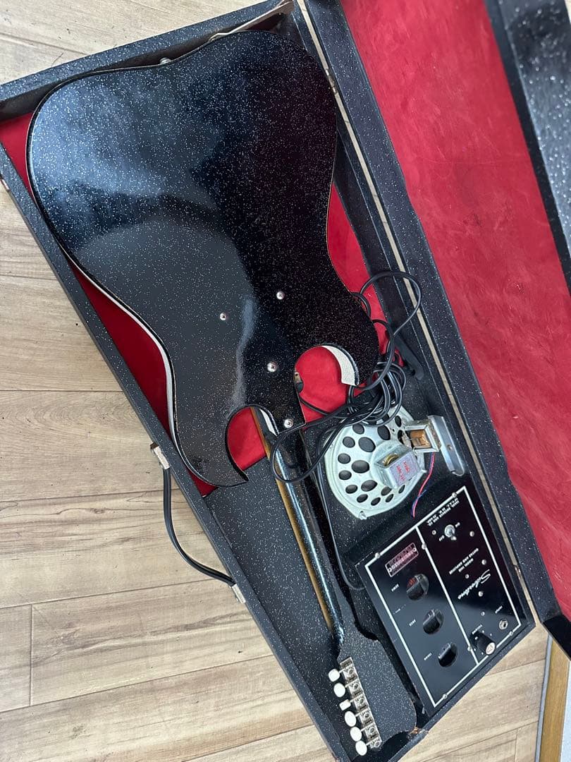 1965年製silver toneシルバートーン1448Amp in Case