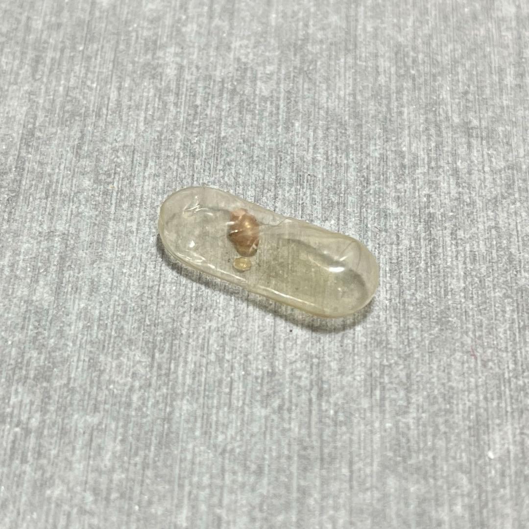 m*g様 激レア 美品 大分県産 蓋付き オンセンゴマツボ