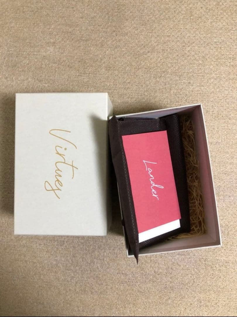 ギター virtues Lander