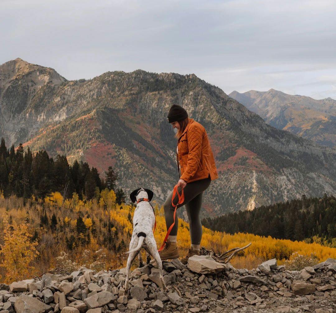 がっちゃん様 新品未使用 WILDERDOG 防水リード他セット販売