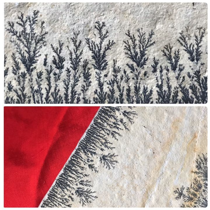 永久に枯れない樹木を封じ込めた石樹形石(しのぶ石) Dendrite