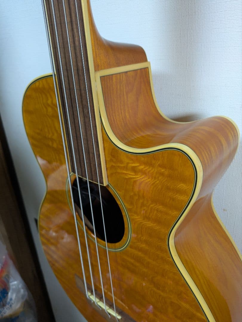 ZENN アコースティックベース フレットレスZB22CE-FL ソフトケース付