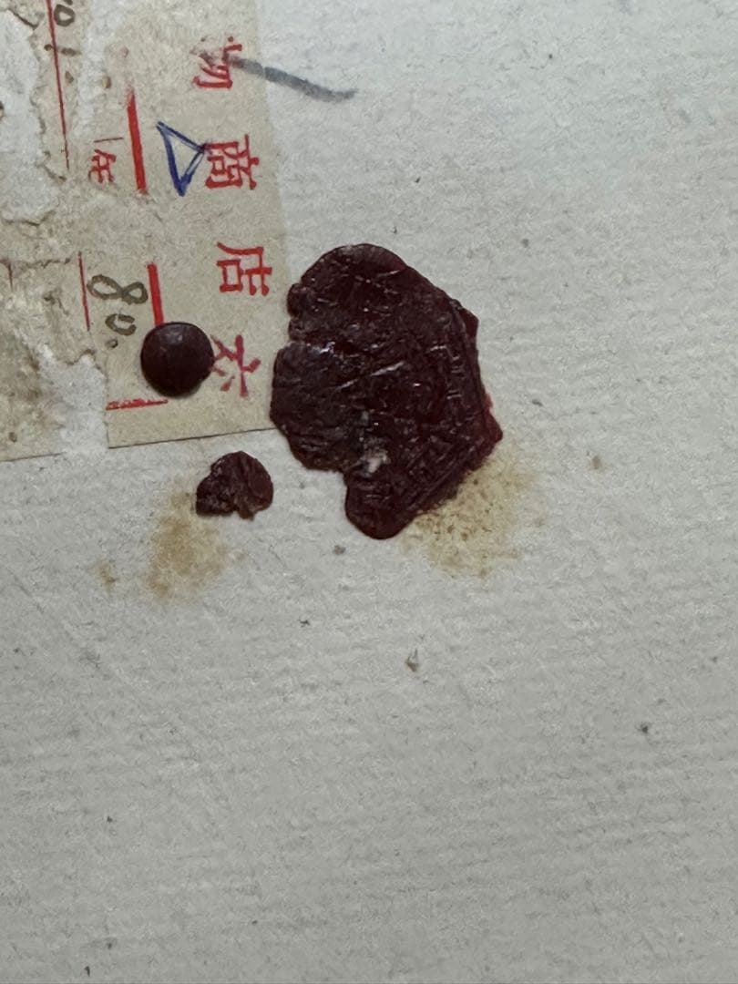 中国清時代扇面絵 掛軸