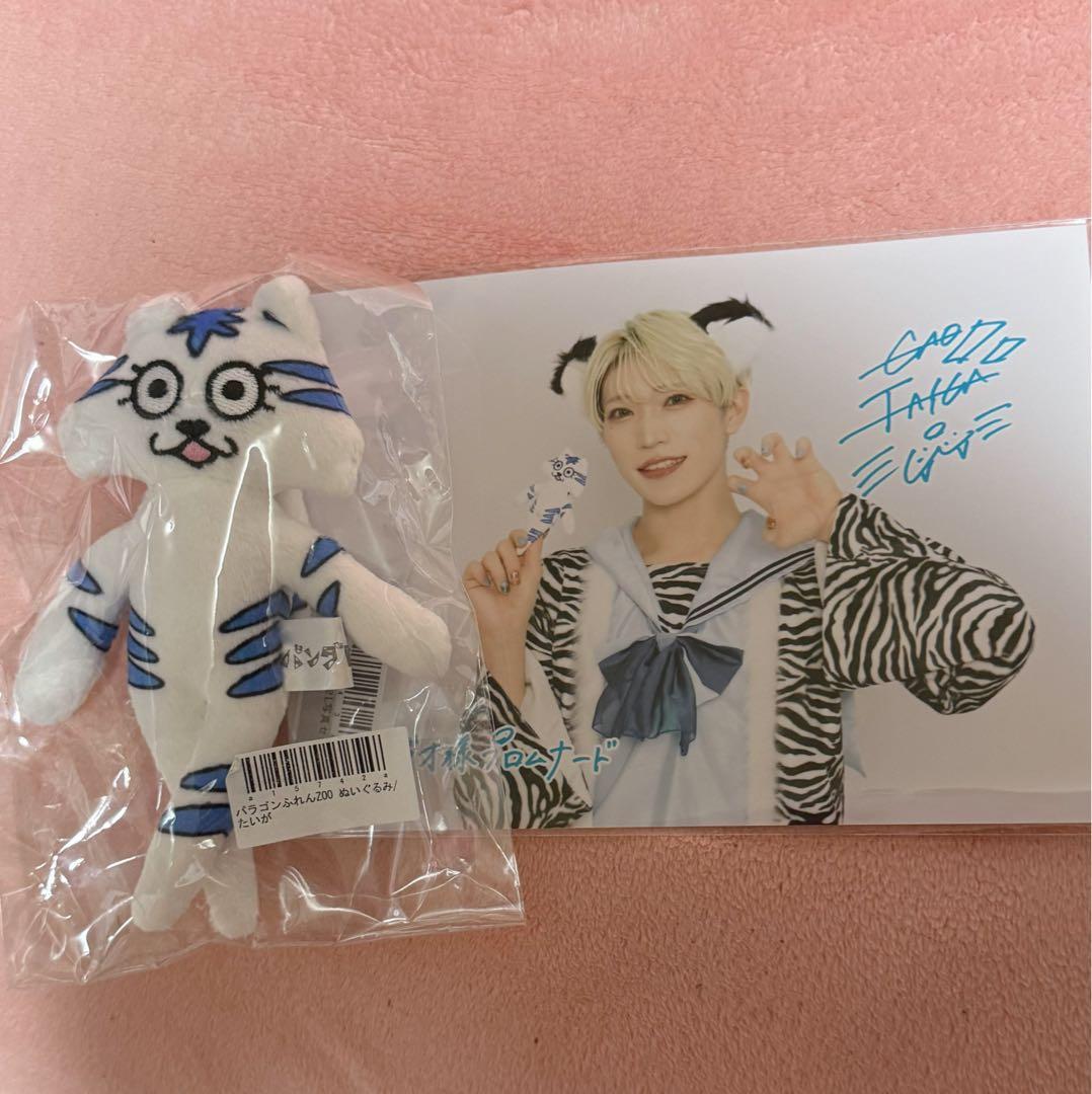 パンダドラゴン たいが ぬいぐるみ(パラゴンふれんZOO)