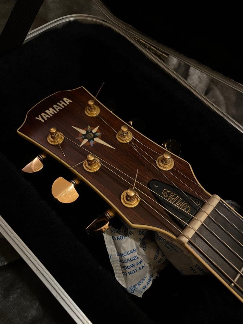 希少】YAMAHA CPX-15E Compass series