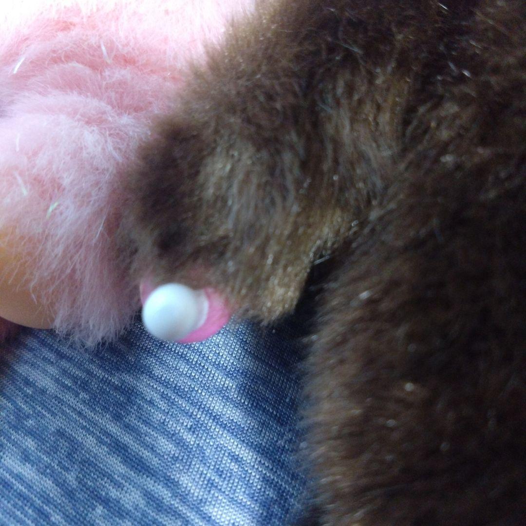 ご当地モンチッチ　桃　明太子 Ｓサイズ3体セット