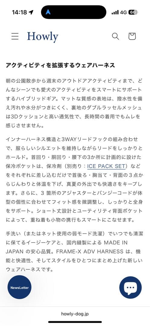 Mサイズ黒】 試着のみHowly FRAME-X ADV HARNESS