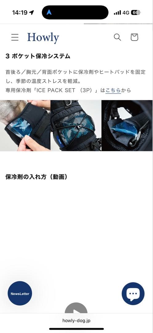 Mサイズ黒】 試着のみHowly FRAME-X ADV HARNESS