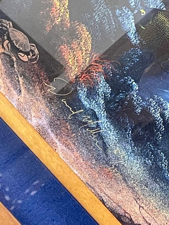 David Millerの海底のイルカの作品 美術品・アンティーク・コレクション