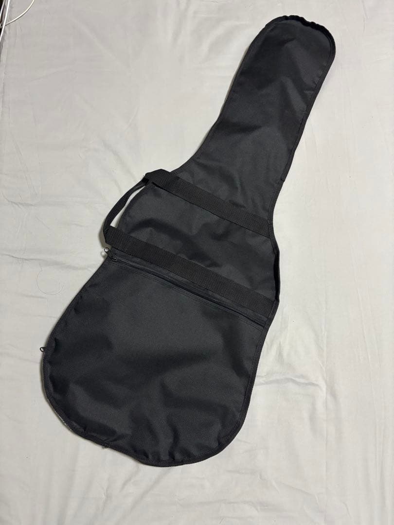 Aria Pro2 RS WILDCAT エレキギター