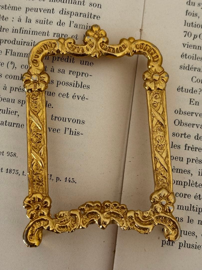 フランス 蚤の市 枠のみ ブロカント - メルカリ