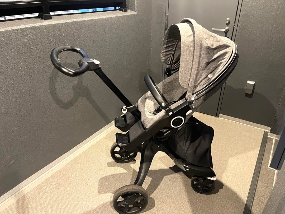 テレスコビッチの肉筆画＋リト14点＋他挿画本La Treille Muscate