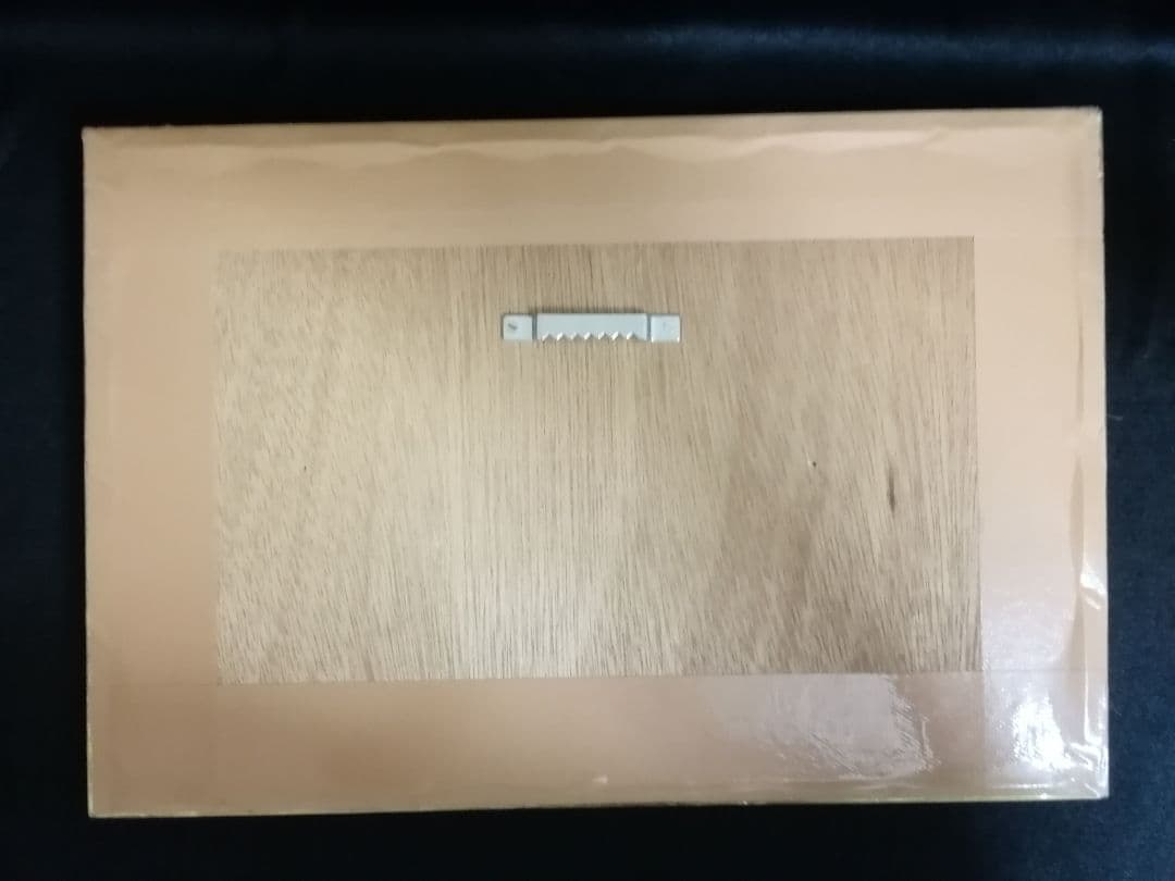 逸品 オブジェ スティーブンチュン ウォールデコ スカルプチャー