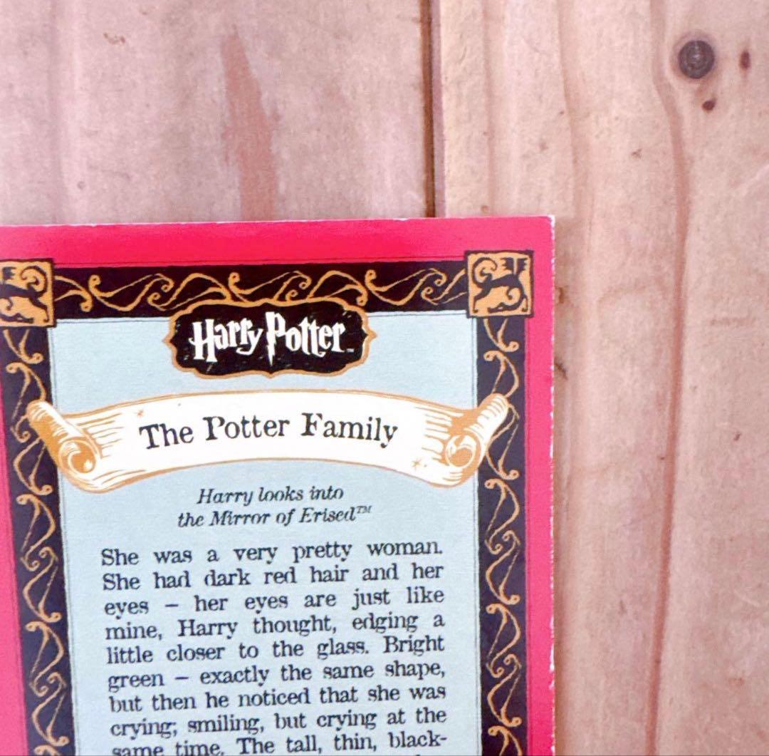 ハリーポッター　カエルチョコ　3DカードThe Potter Family