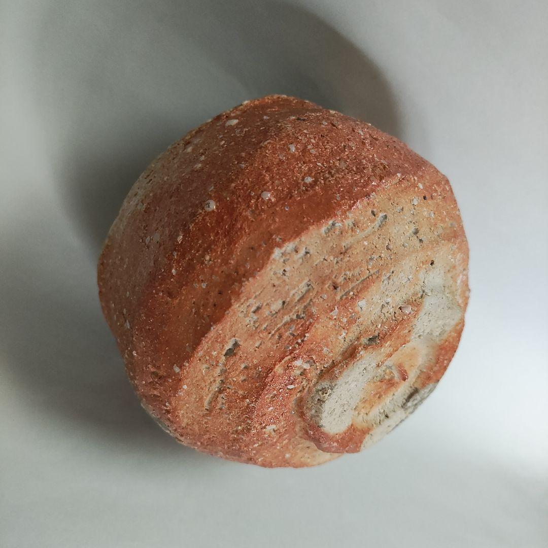 紫香庵水月(杉本貞光) 信楽茶碗