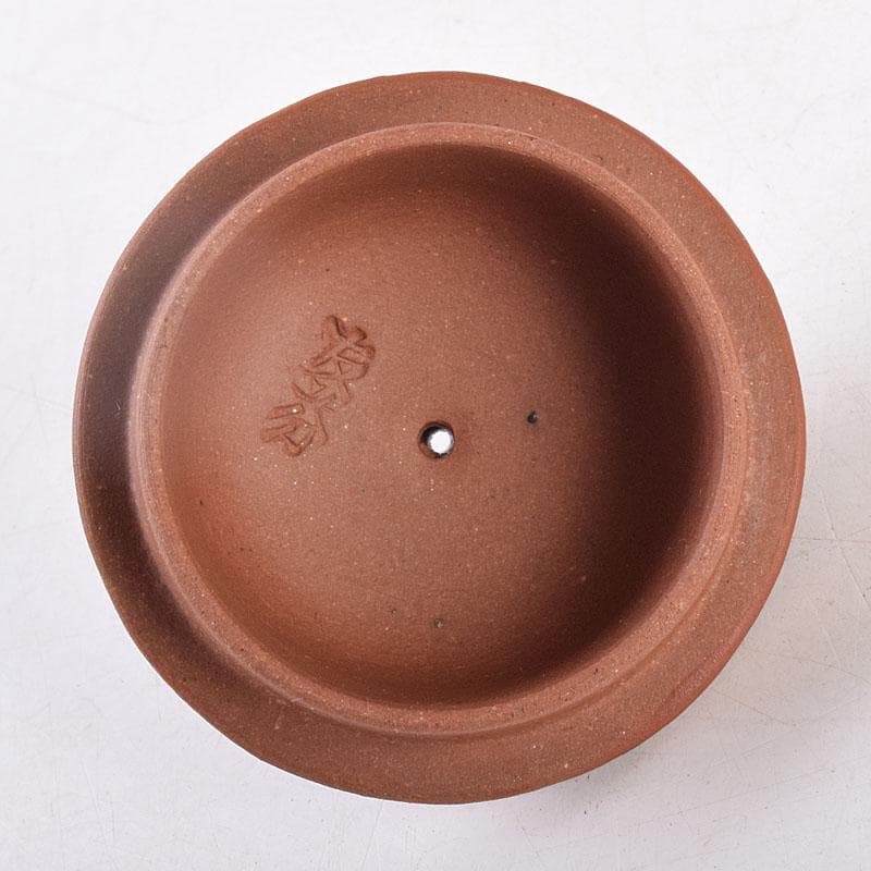 中国 中国宣興銘 紫砂 朱泥 急須 茶壷 C R9060