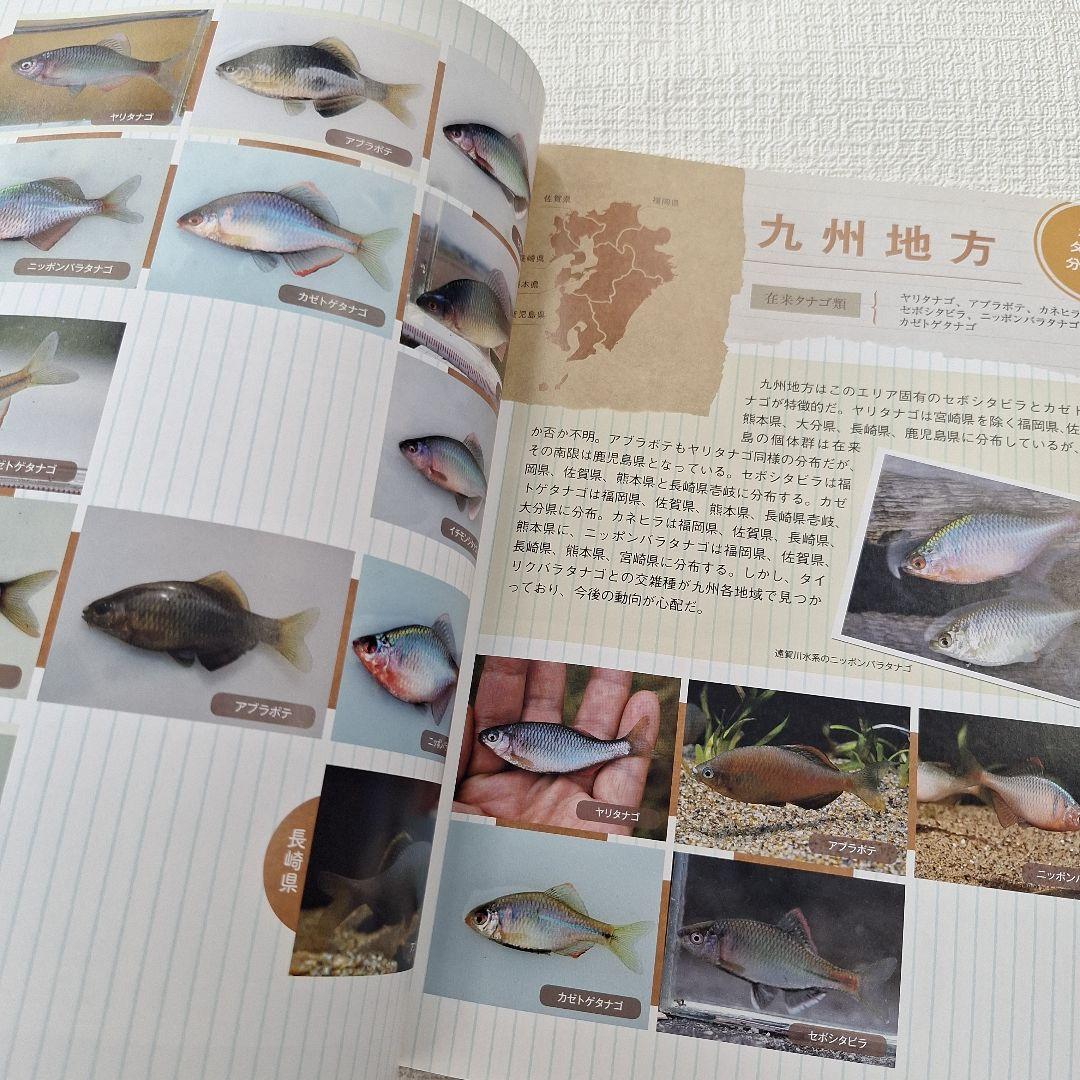 日本 タナゴ釣り紀行 1&2セットの通販はau PAY マーケット - 輸入雑貨