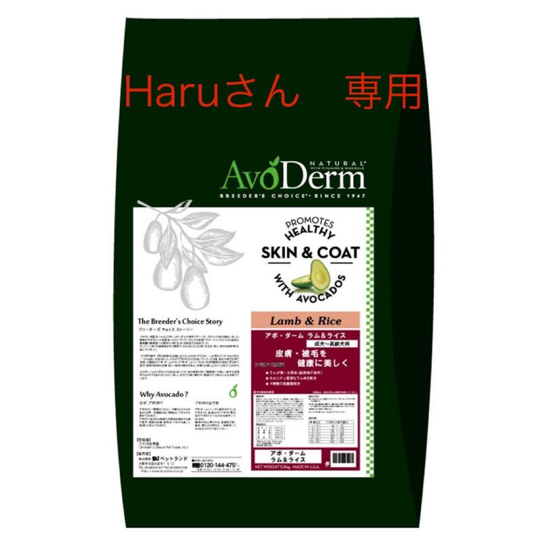 AvoDerm ラム＆ライス ドライフード 大袋