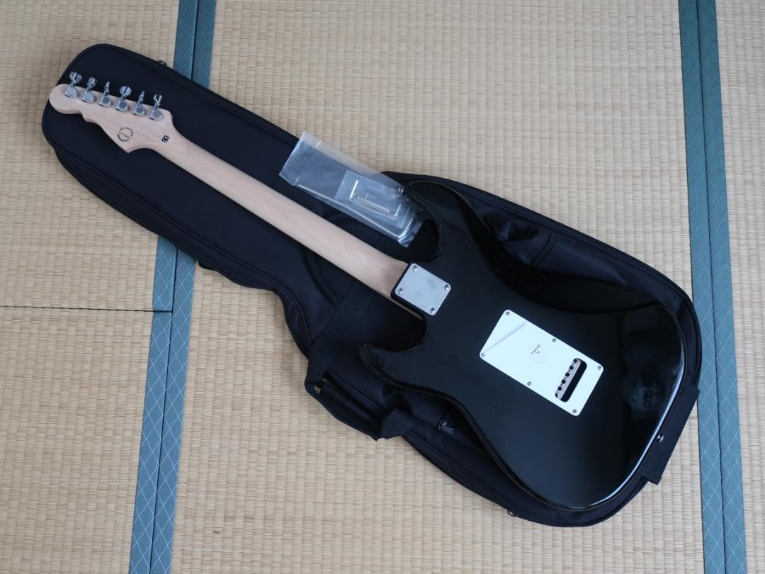 ☆人気 G&L TRIBUTE SERIES LEGACY BLACK ケース付