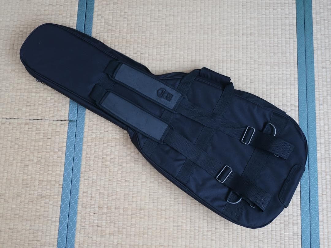 ☆人気 G&L TRIBUTE SERIES LEGACY BLACK ケース付