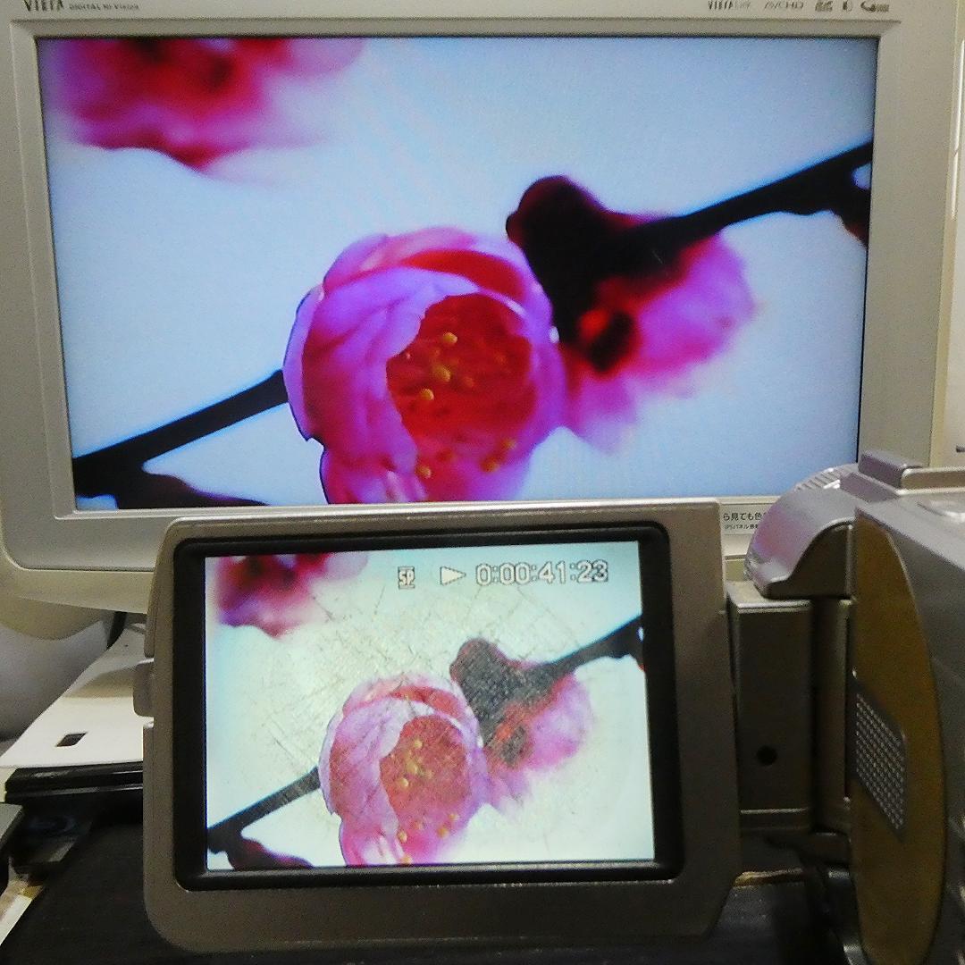 動作品ソニー DCR-TRV10 Mini DVビデオカメラDVDダビングに最適