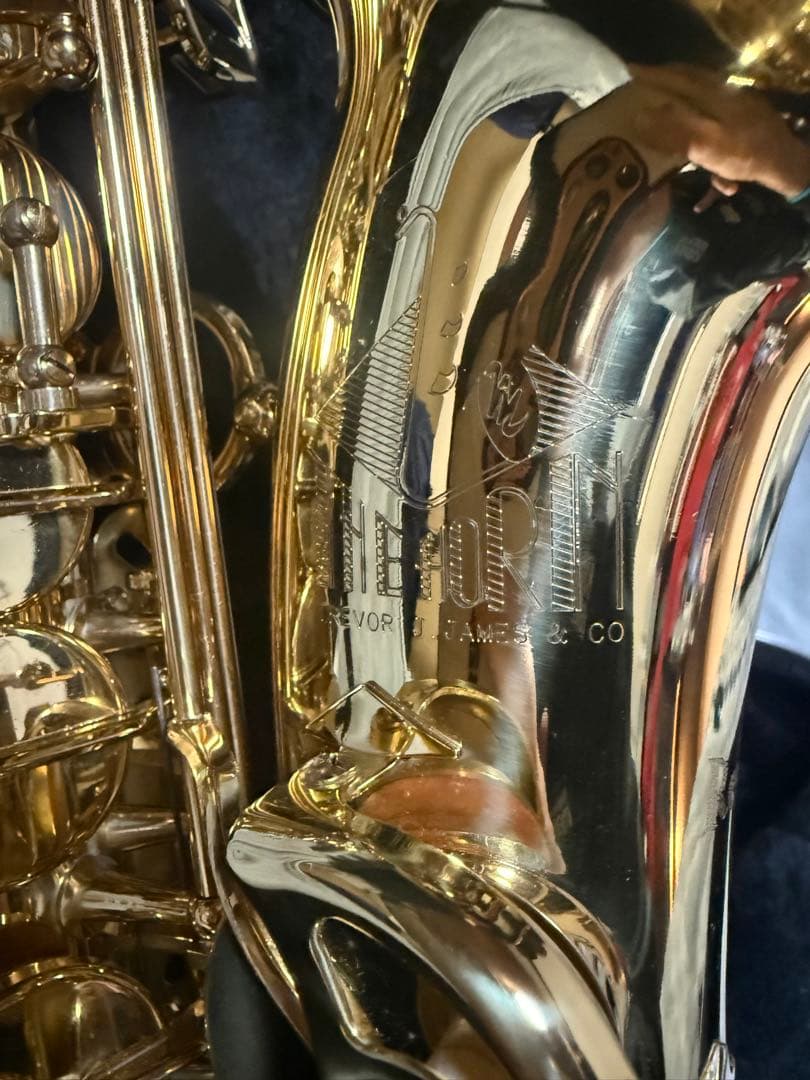 美品 トレバージェイムス アルトサックス THE HORN Revolution