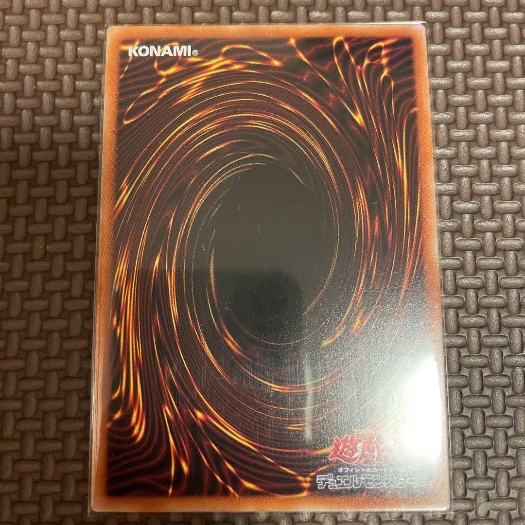 完美品級】ブラックフェザー・ドラゴン プリシク