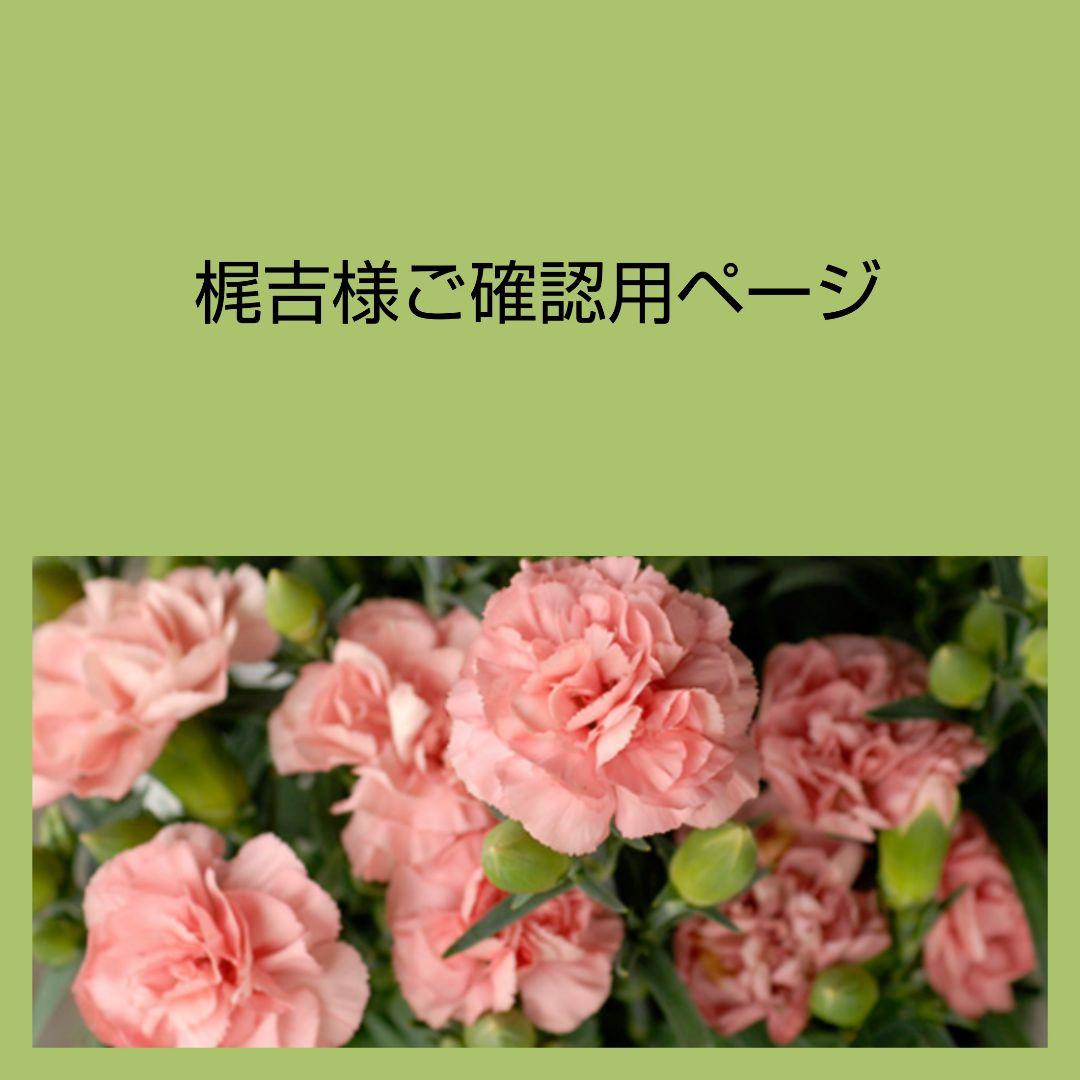 【専用】ギベオン リビアン モルダバイト モリオン 4石の縦長チャーム シルバー