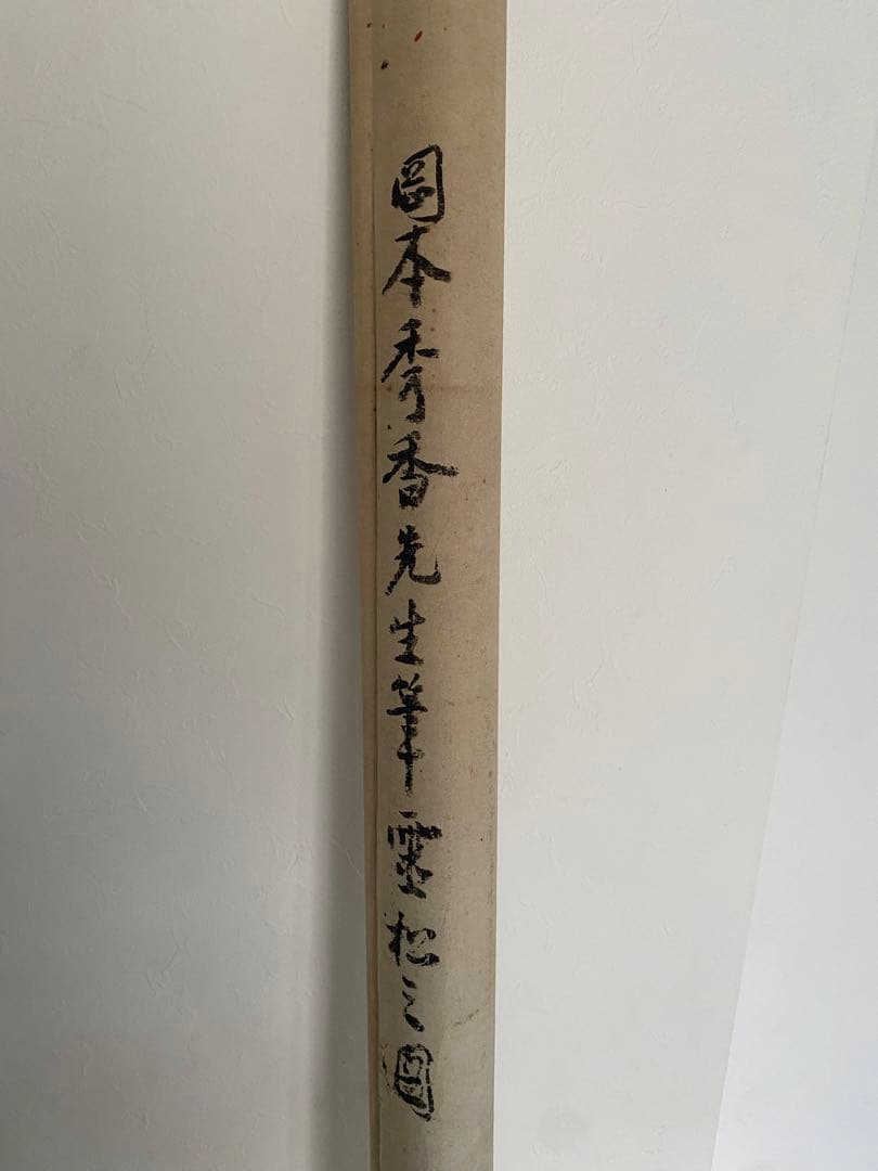 大迫力　岡本秀香　霊松ノ図　松の絵　水墨画 掛軸　日本画　大正番付作家