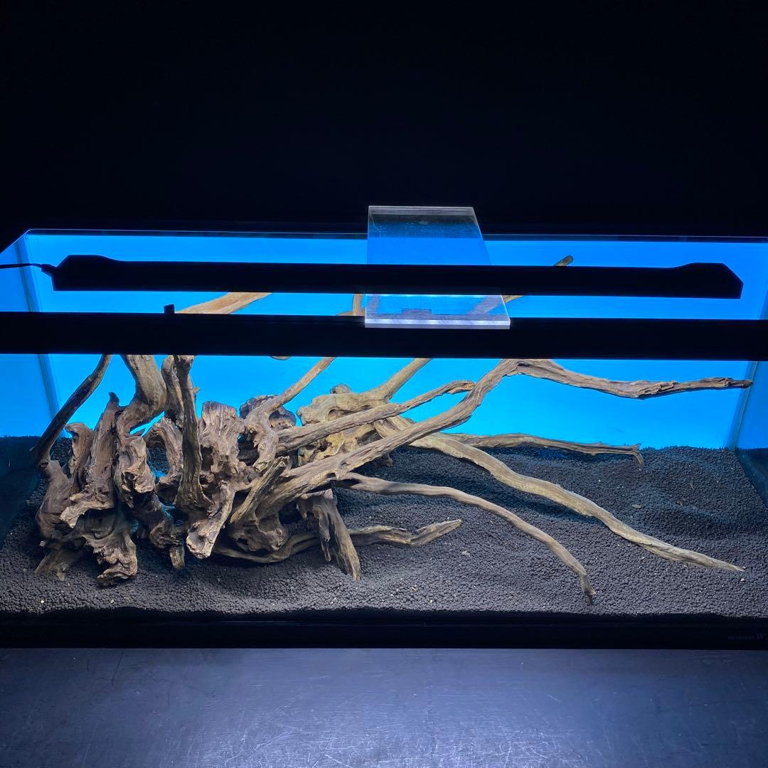 MSRW-6620 天然流木レイアウトセット スリムウッド アクアリウム