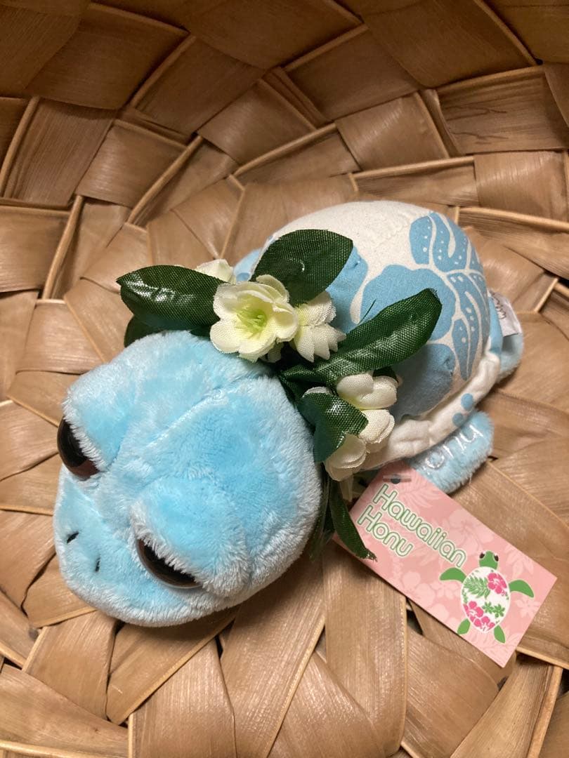ハワイ ホヌ ぬいぐるみ セット モアナサーフライダー セット ウミガメ