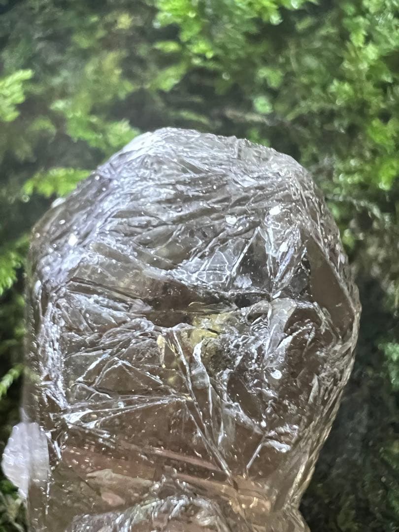 龍脈の精髄　宮崎産虹入り成長干渉煙水晶「祓いと覚醒、希望の光」【保護猫活動支援】