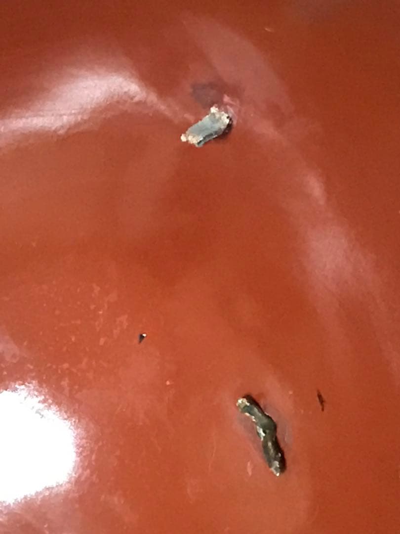 陣笠　丸に違い鷹の羽紋