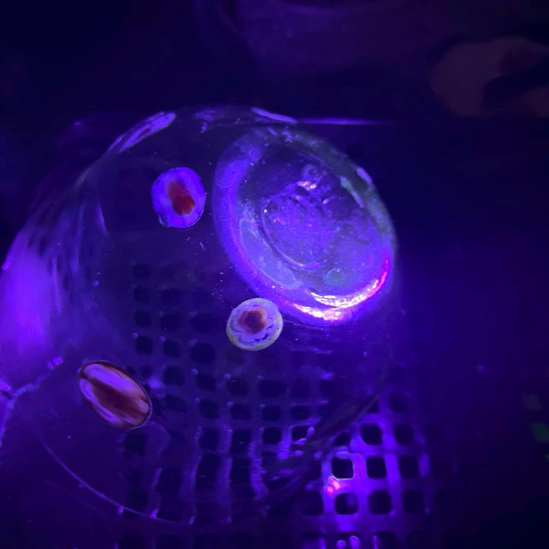 骨董 時代ガラス 超希少 花象嵌 反り口碗型 氷鉢 氷コップ 1