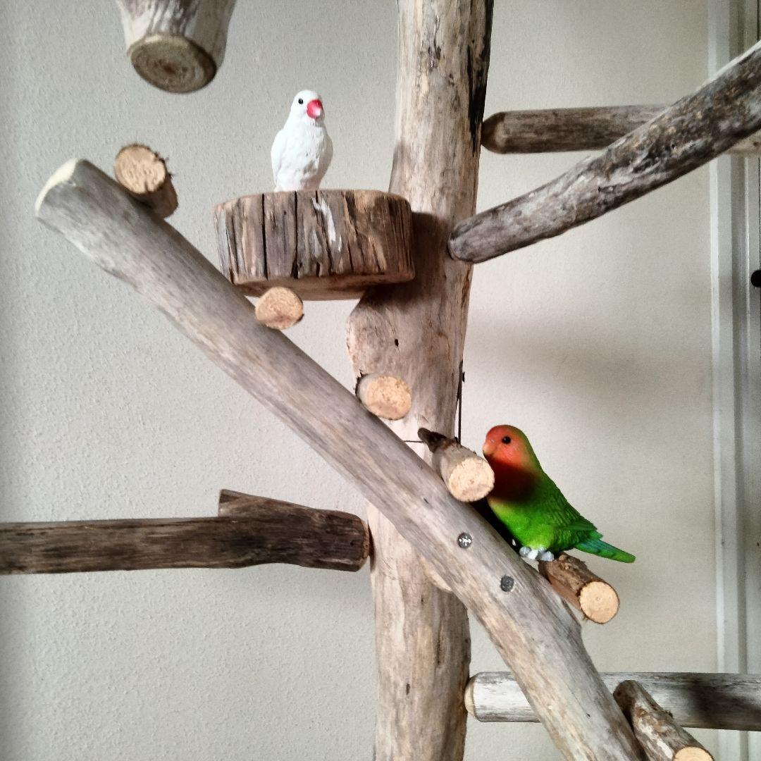 バードアスレチックジム大型 ㊹ 天然木 自然木 流木 止まり木 インコ