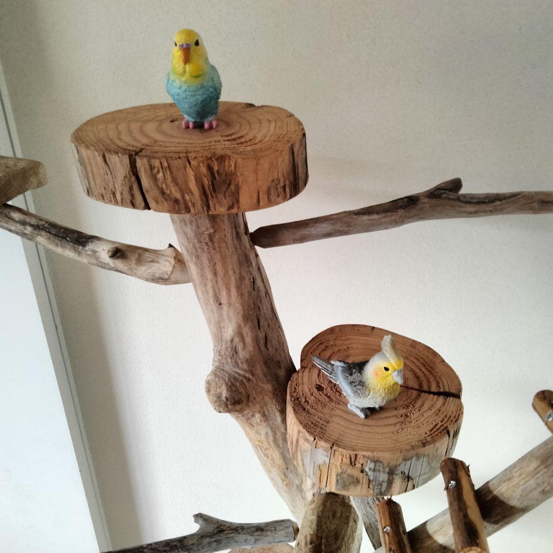 バードアスレチックジム大型 ㊹ 天然木 自然木 流木 止まり木 インコ