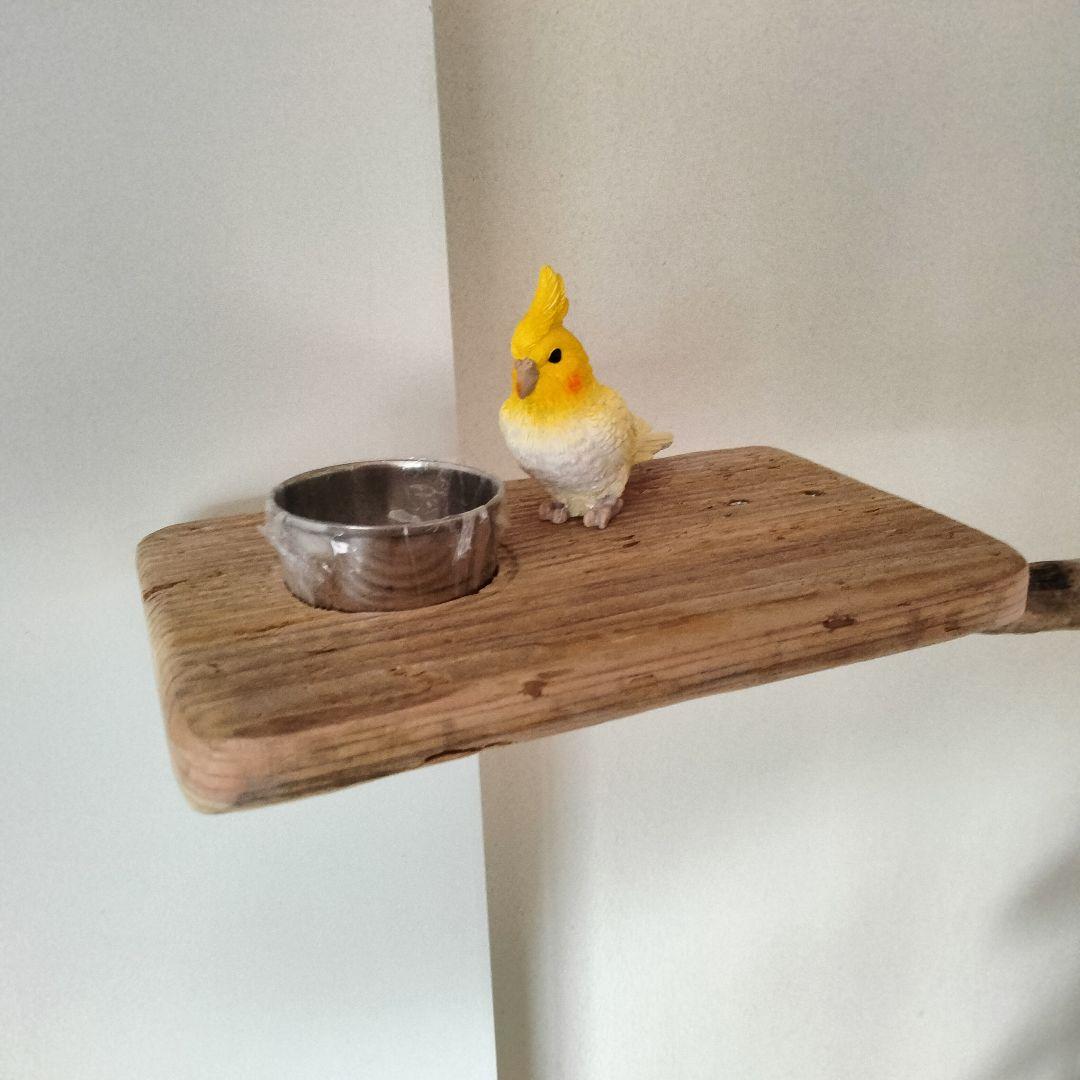 バードアスレチックジム大型 ㊹ 天然木 自然木 流木 止まり木 インコ