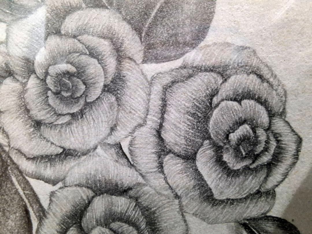 橋本のぞみ「rose」原画