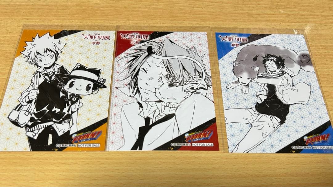 v*i様 天野明展in京都 沢田綱吉 ツナ 九ノ瀬宙太 缶バッジ 新品未開封