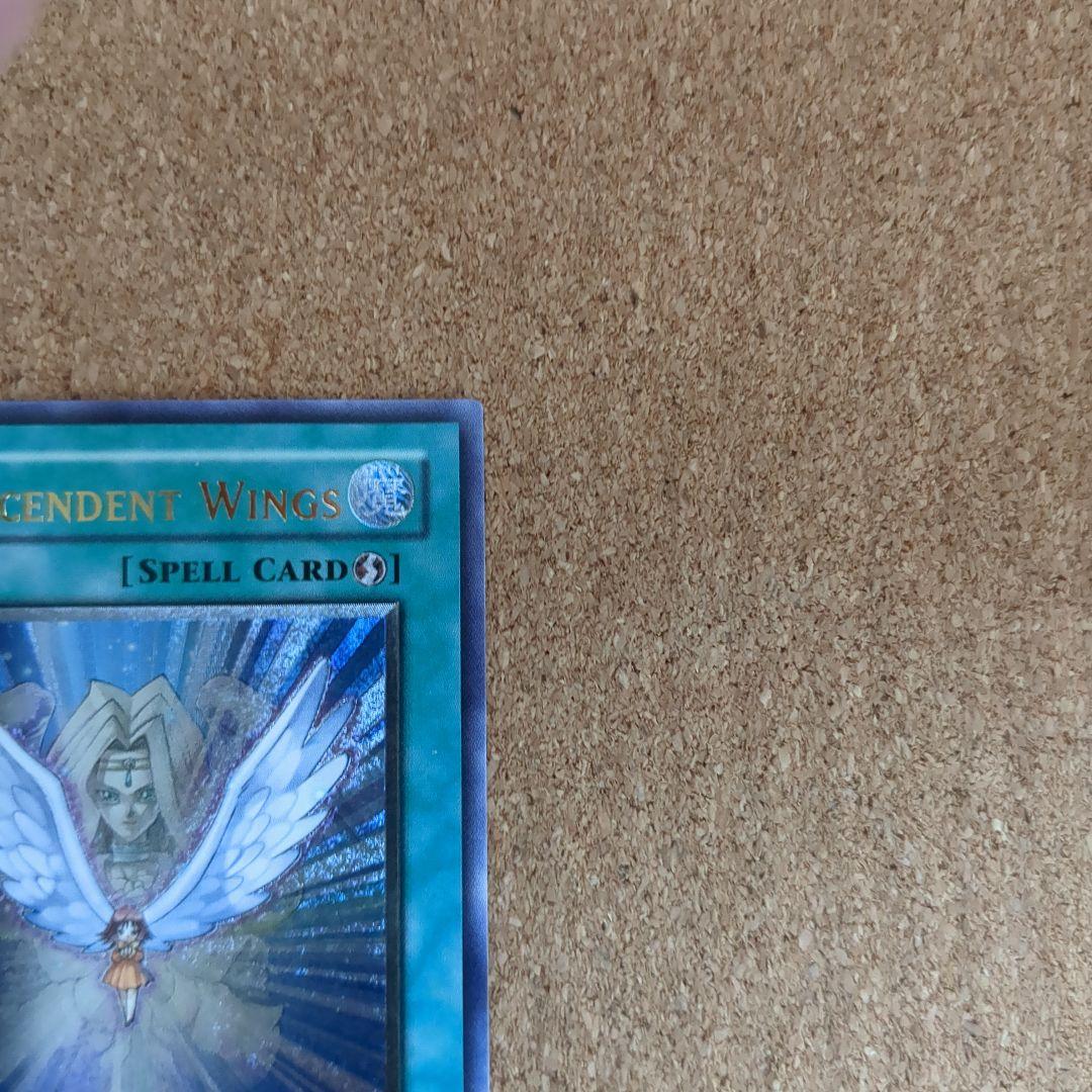 遊戯王旧アジア版1st　進化する翼レリーフ