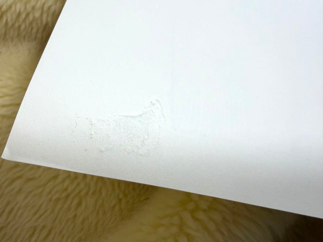 ONE PIECE 名シーン複製原稿（複製原画） 2シーンセット ワンピース 2