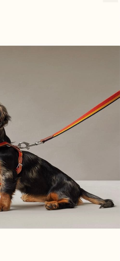 エルメス　HERMES犬用リード 《ロカバール》