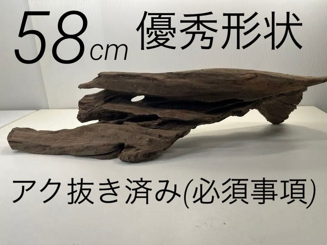 n36 アク抜き済み流木 爬虫類シェルター レイアウト用 登り木