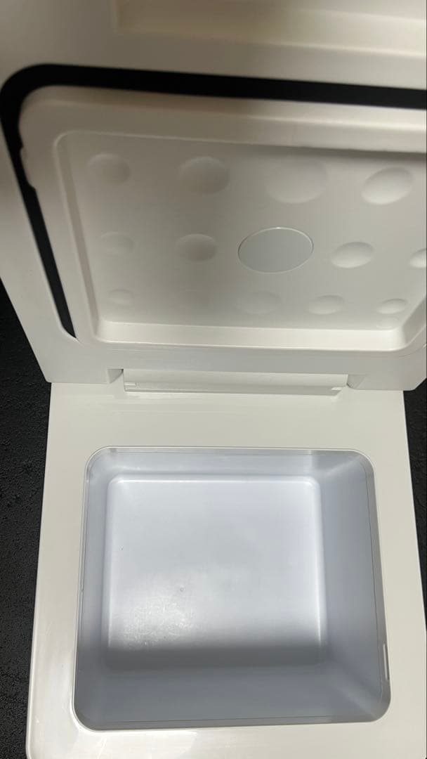 最終値下価格　すぐ発送9L車載用冷蔵冷凍庫ポータブルクーラーボックス 9L