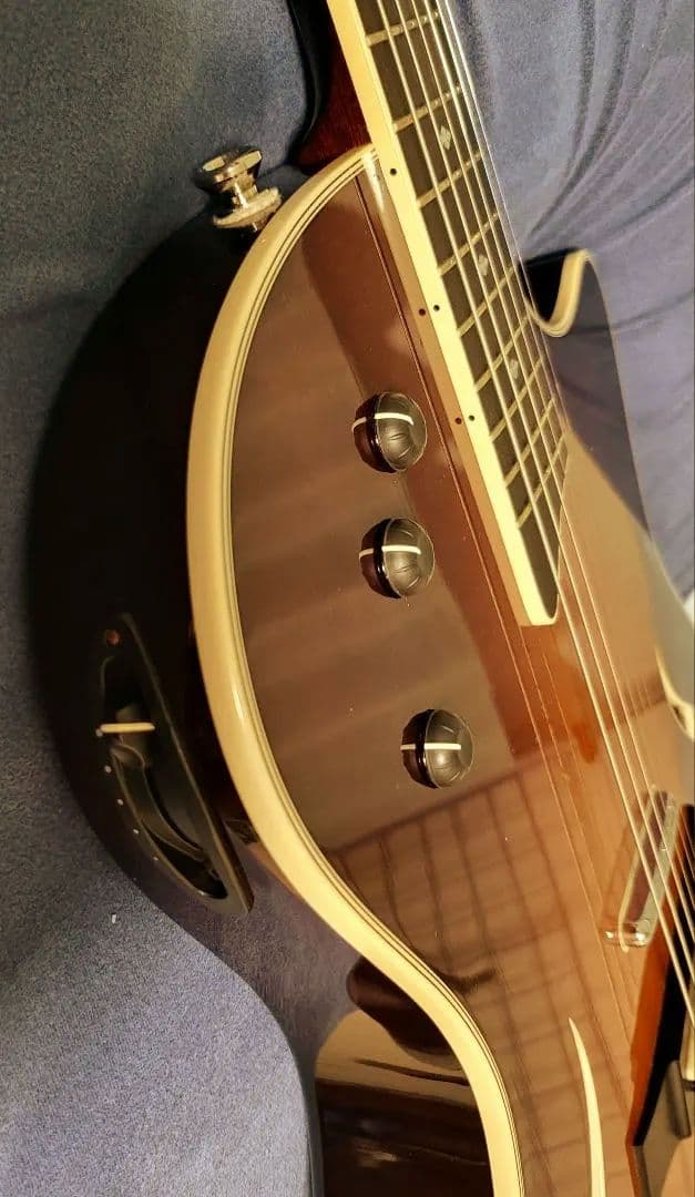 Taylor guiter T5　ハードケース付