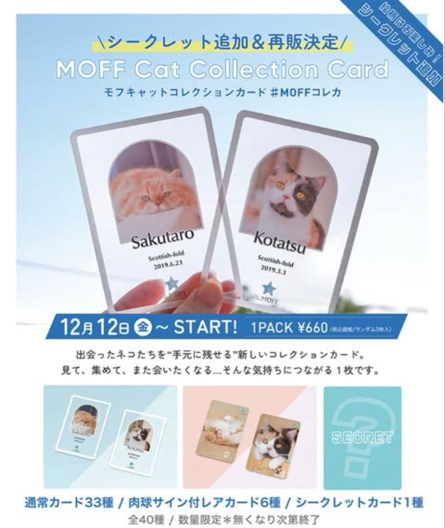 キャットカフェモフ グランベリーパーク店 トレカ コレカ 肉球レア コンプリート