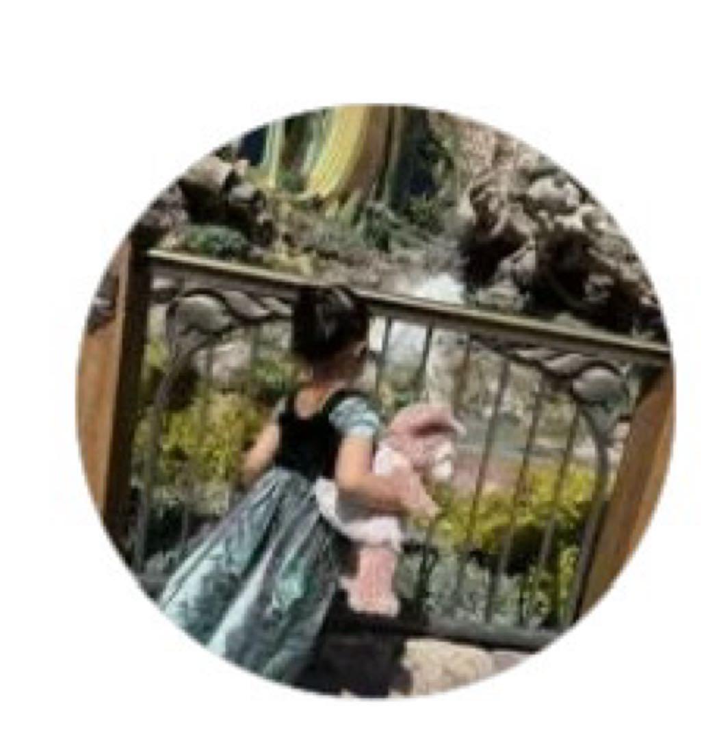 ミニー ぬいぐるみ 2026年 パルパルーザ ファンダーランド - メルカリ