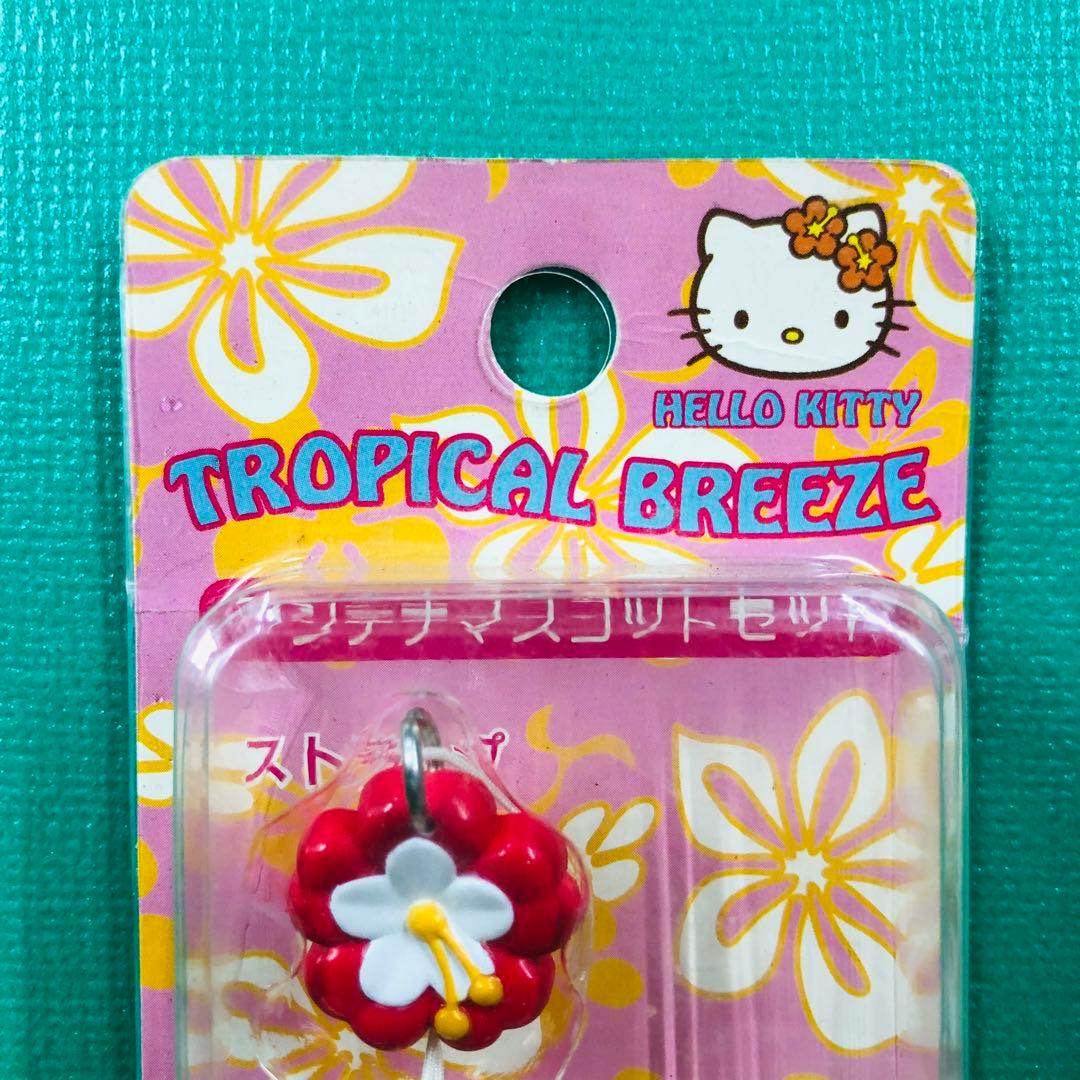 2002年製 激レア☆ハローキティ アンテナマスコットセット ラナ ②